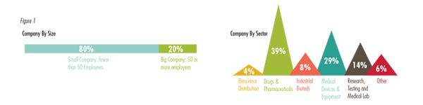 Company by size and sector